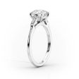 The Liv Set With A 4.5 Carat Elongated Cushion Moissanite Sale