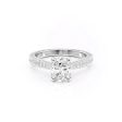 The Catherine Set With A 3.5 Carat Elongated Cushion Moissanite For Cheap